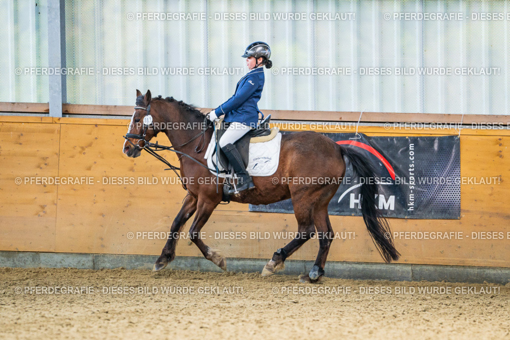 DSC02636 | Pferdegrafie