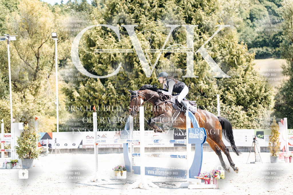 CK900406 | Turnierfotografie Pferdefotografie Trier Rheinland-Pfalz Pferdesport Reitsport Tierfotografie Sportfotografie Pferdevideo Pferdevideografie Equestrianvideography equestrianphotography  - Realisiert mit Pictrs.com