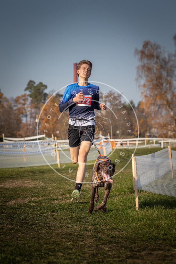 CaniXpix_0L8A9579 | Hundefotografie, Tierfotograf, Pfotenfotografie, Fotoshooting Hund, Hunde Portrait, Hundesport, Hundeportraits, Heideshooting, Hunde, Sportfotograf, Hundefotograf, Turnierhundsport, THS,  - Realisiert mit Pictrs.com