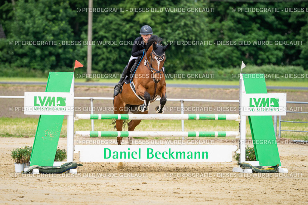 DSC04007 | Pferdegrafie