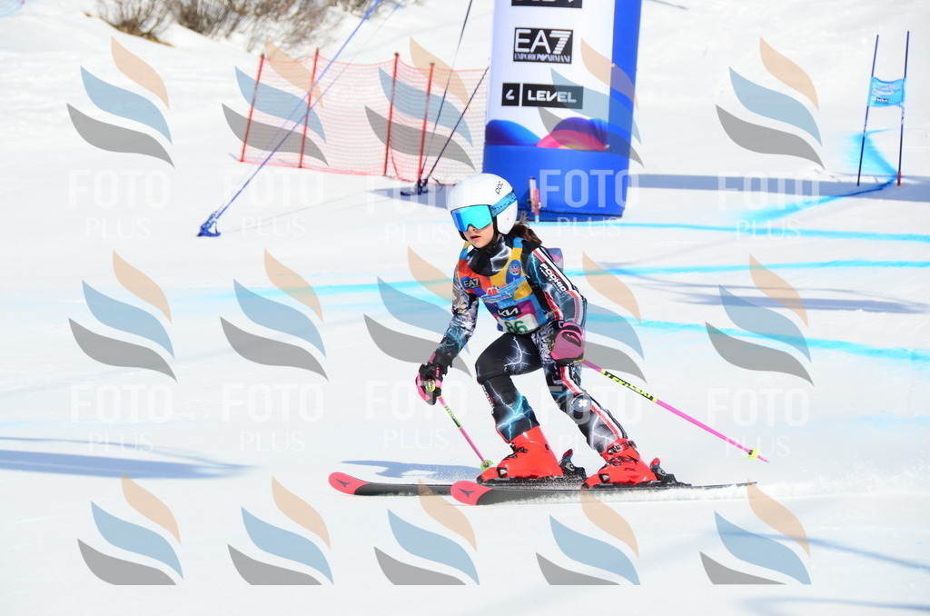 DSC_0569 | holidayphoto