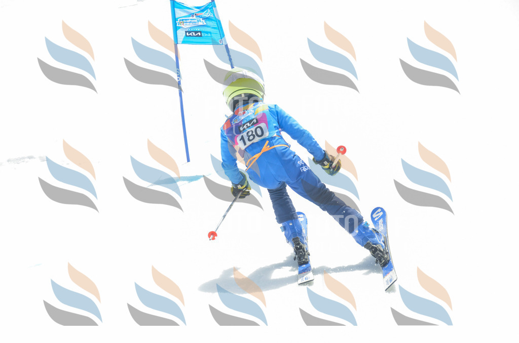 _ELE6672 | holidayphoto