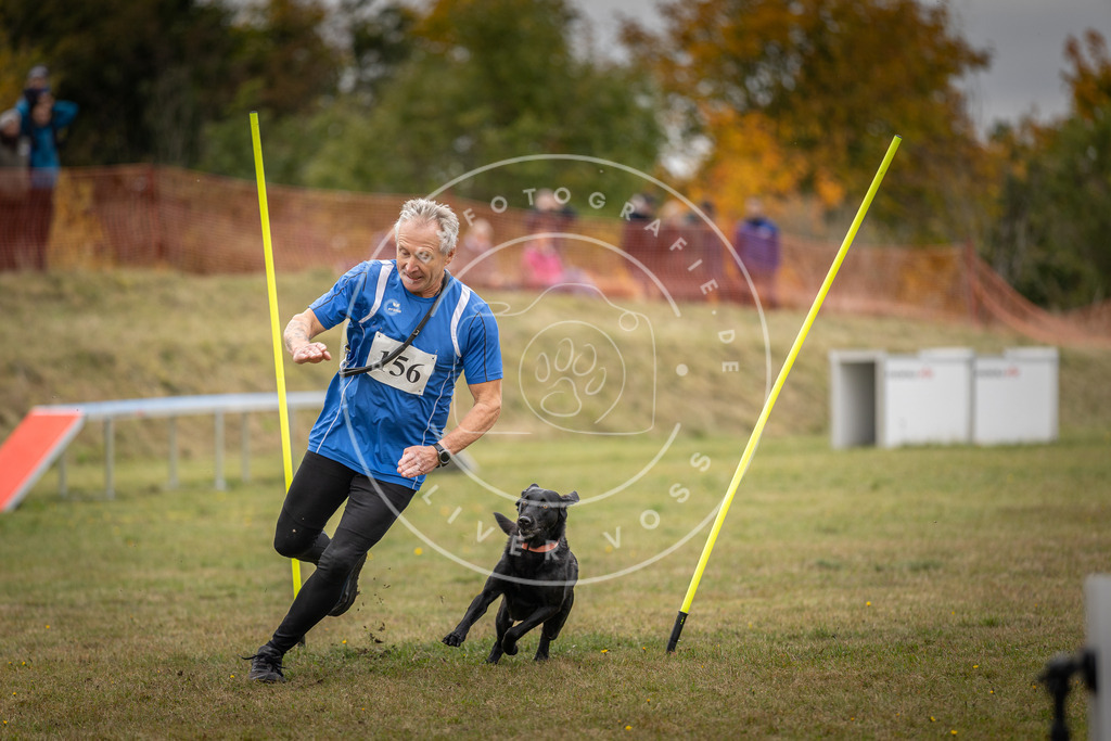 Pfotenfotografie_DV3A5696 | Hundefotografie, Tierfotograf, Pfotenfotografie, Fotoshooting Hund, Hunde Portrait, Hundesport, Hundeportraits, Heideshooting, Hunde, Sportfotograf, Hundefotograf, Turnierhundsport, THS,  - Realisiert mit Pictrs.com
