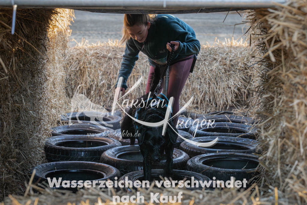 0912_ZZ91914-Verbessert-RR | kk-dogfotos