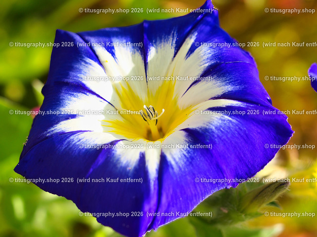titusgraphy_P7173155-vz-ln | titusgraphy-shop: Geschenkideen mit Qualitätsfotos. titusgraphy-shop: gift ideas with quality photos. titusgraphy-shop: idées cadeaux avec photos de qualité.  - Realisiert mit Pictrs.com