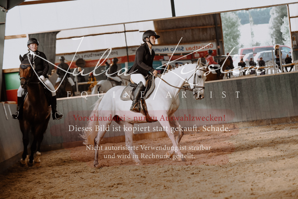 DSC_7535 | Pferde- und Turnierfotografie in Westsachsen. Pferdeportraits, Auftragszeichnungen und intuitive Kunst.