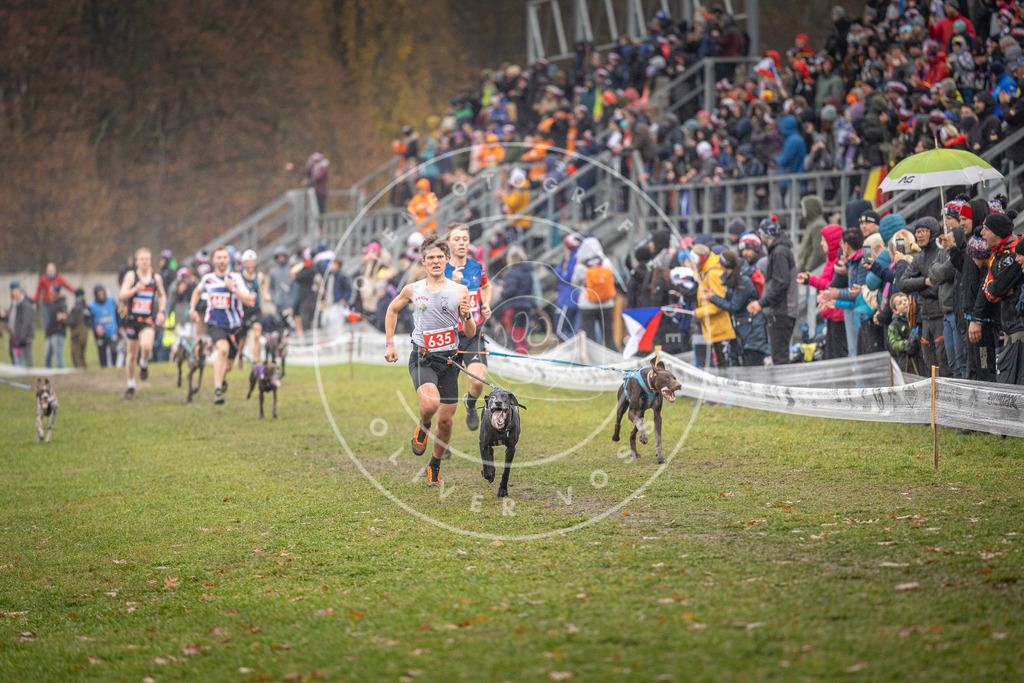 CaniXpix_DV3A9731 | Hundefotografie, Tierfotograf, Pfotenfotografie, Fotoshooting Hund, Hunde Portrait, Hundesport, Hundeportraits, Heideshooting, Hunde, Sportfotograf, Hundefotograf, Turnierhundsport, THS,  - Realisiert mit Pictrs.com