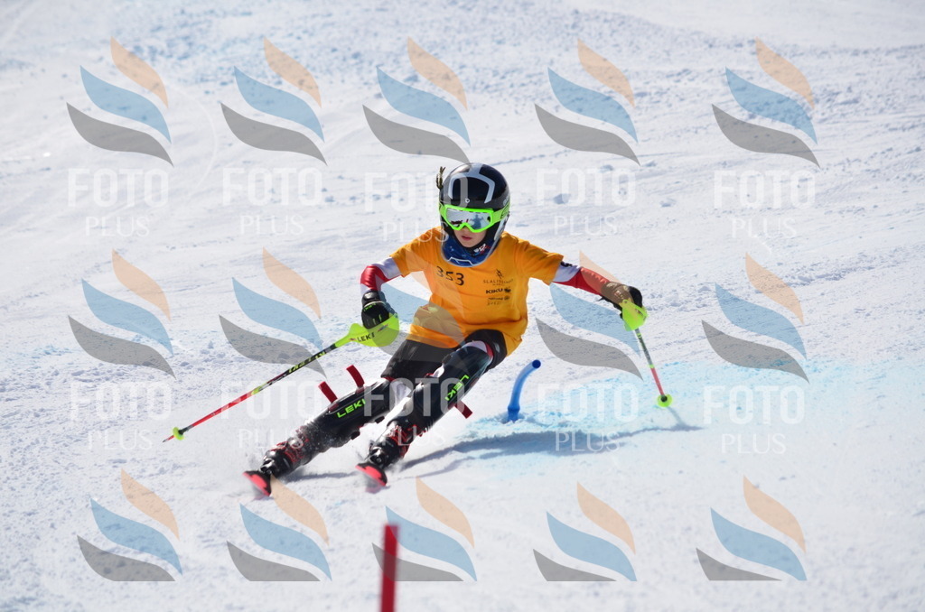 C9800 | holidayphoto