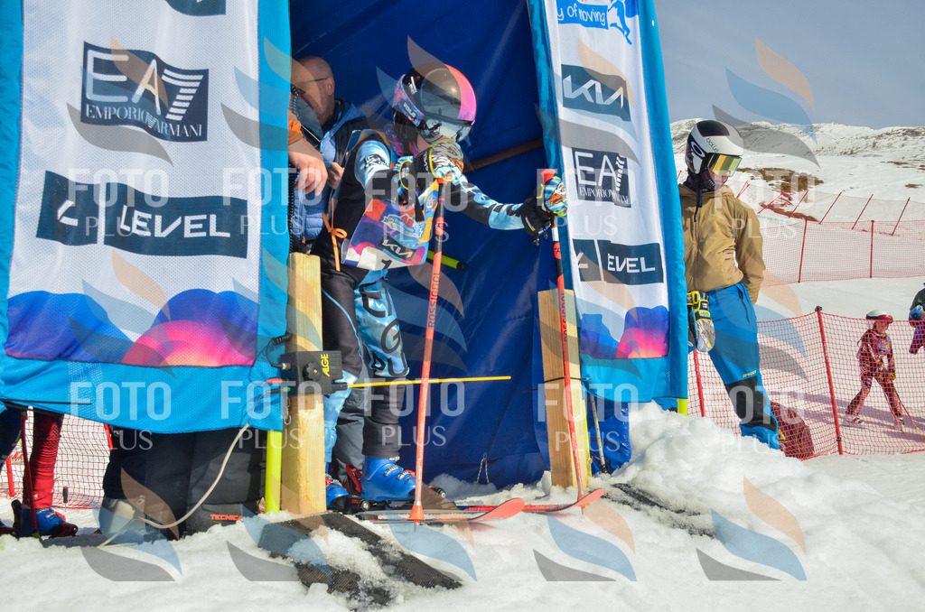 _ELE4326 | holidayphoto