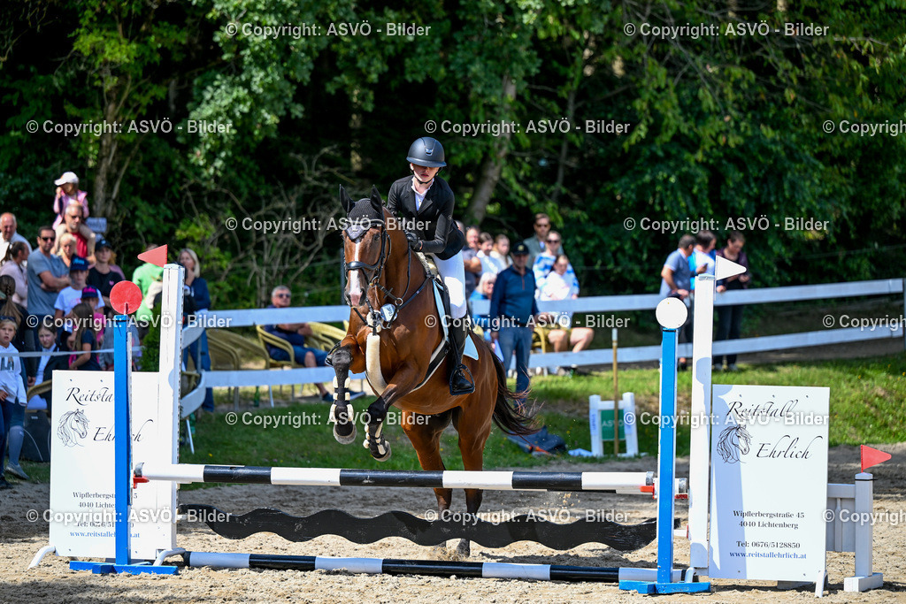 ASVÖ_ Reiten Bezirksmeisterschaft_ 24.08.2025-108 | 24.08.2025, AUT, ASVÖ, Reiten Bezirksmeisterschaft 2025Dressur und Springreiten©fodo.media / Harald Dostal - Realisiert mit Pictrs.com