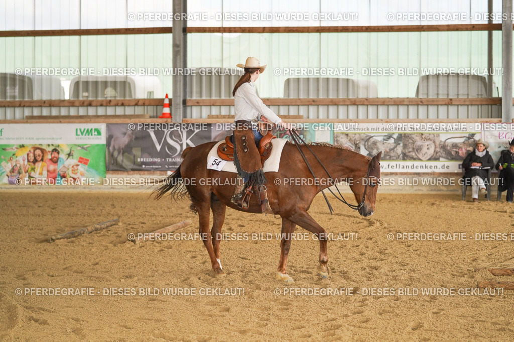 DSC01532 | Pferdegrafie