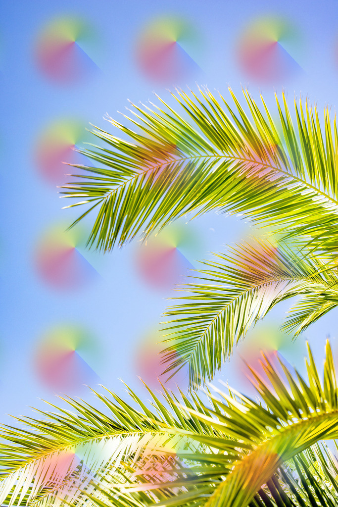 1M5A9020 | FineArtPrint, Hahnemühle, FeeGalerie, Fee Galerie, Fotokunst, Fotografie, Canonphotography, Bergfoto, Matterhorn, Rimpfischhorn, Allalinhorn, Saas-Fee, Wallis, Valais, Switzerland, Bergfotografie