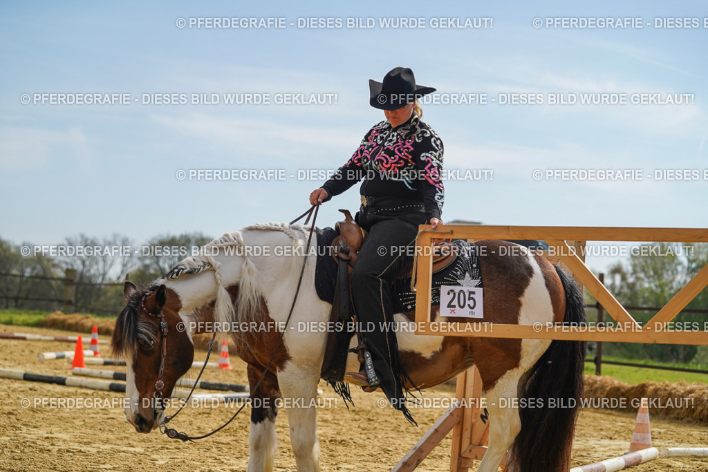 DSC02091 | Pferdegrafie