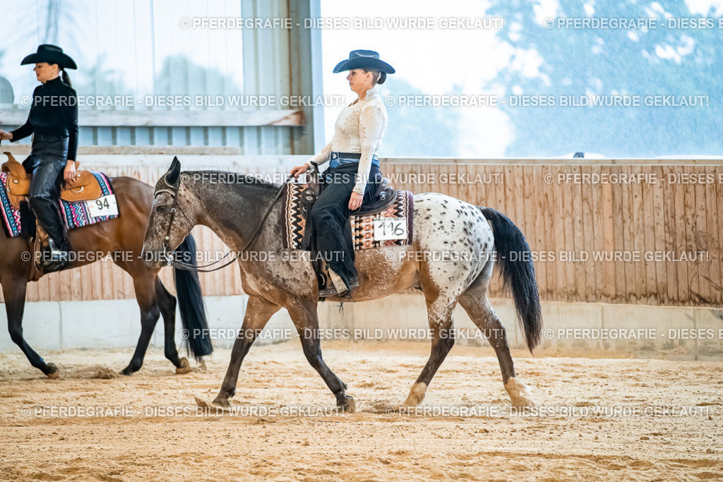 DSC00253 | Pferdegrafie