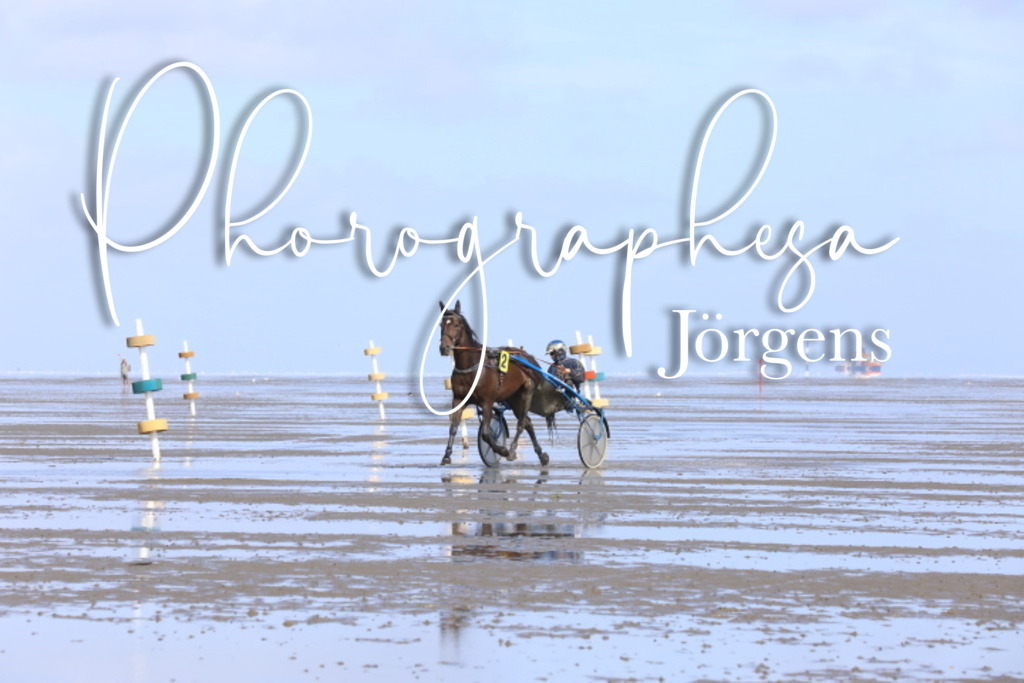 IMG_8066 | photographesa-joergens - Realisiert mit Pictrs.com