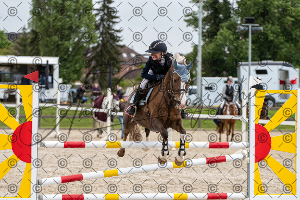 KPT_8078 | andre_photographic