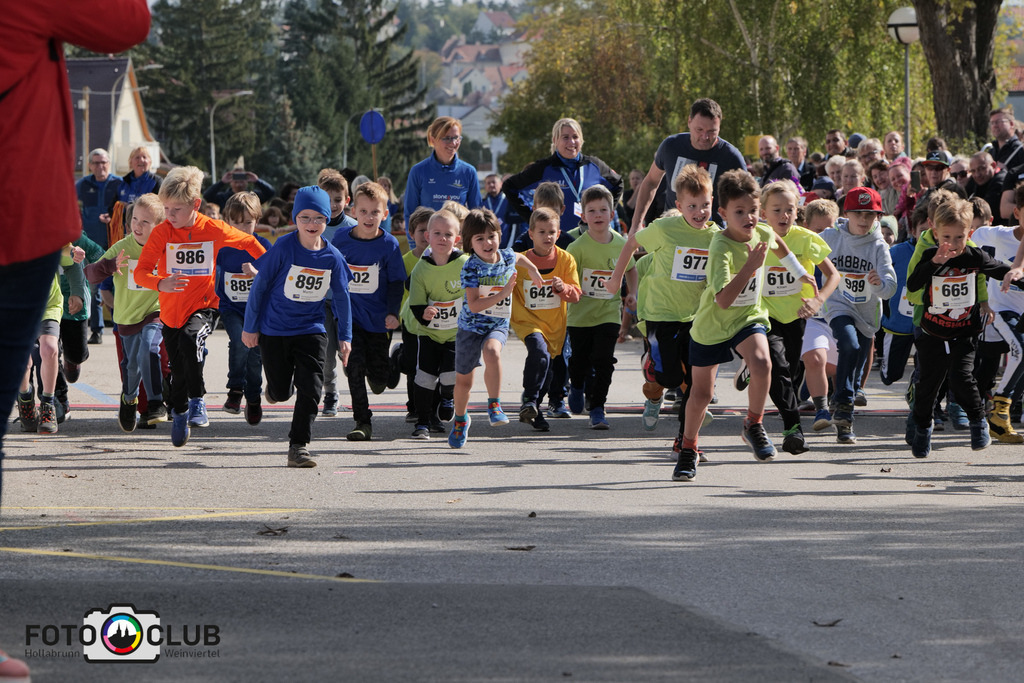 P1039115 | Foto Buchgraber