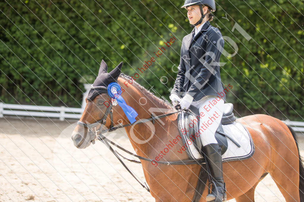 IMG_3709 | Sport-, Event- und Tierfotos in Profiqualität. Einfach auswählen, bestellen und herunterladen. Dein Moment – perfekt festgehalten.