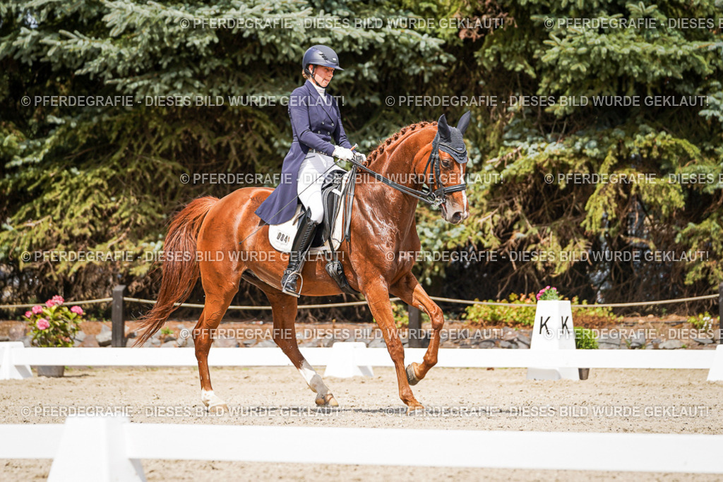 DSC06379 | Pferdegrafie