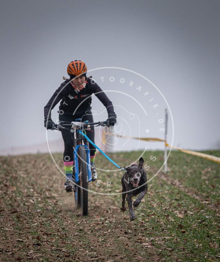 Pfotenfotografie_DV3A1009 | Hundefotografie, Tierfotograf, Pfotenfotografie, Fotoshooting Hund, Hunde Portrait, Hundesport, Hundeportraits, Heideshooting, Hunde, Sportfotograf, Hundefotograf, Turnierhundsport, THS,  - Realisiert mit Pictrs.com