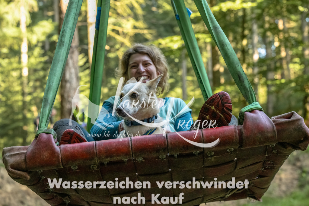 0956_ZZ92352-Bearbeitet | kk-dogfotos