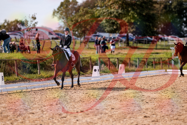 2026_10_03_Siefer-Hof_130718_Z81_58217962 | Professionelle Reitsport-, Turnier- und Eventfotografie von Robert Broda. Galerien mit ausgewählten und bearbeiteten Bildern direkt online ansehen und bestellen.