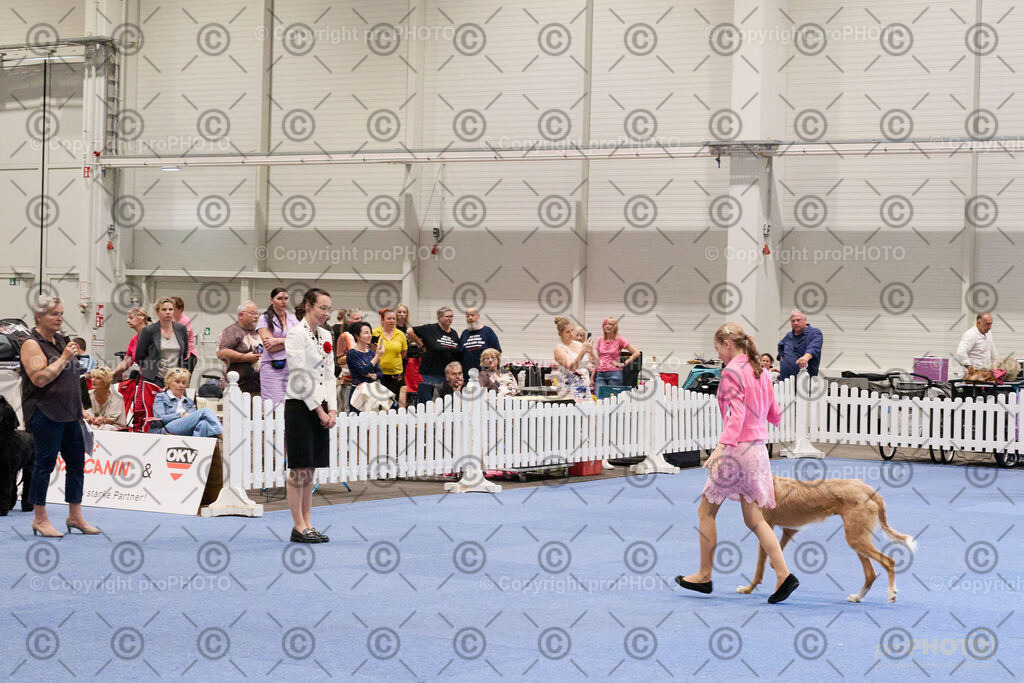 202406_ÖKV-IHA-Tulln24_NZ9_8570 | proPHOTO - Realisiert mit Pictrs.com