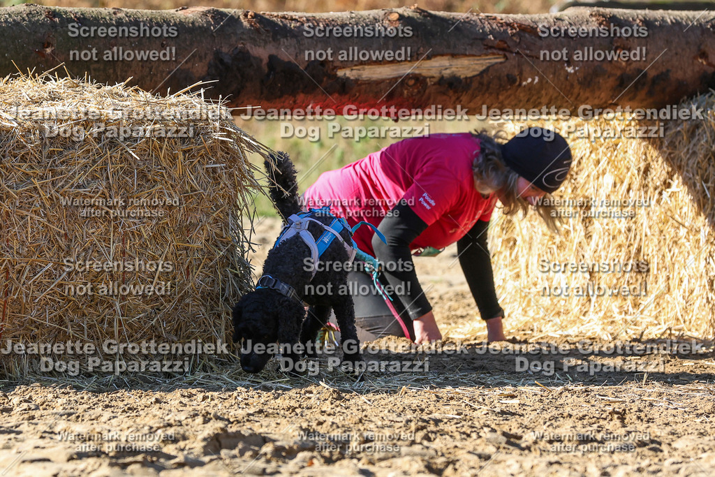 Dog Paparazzi - Strongdog 10-25-2693 | Dog Paparazzi Jeanette Grottendiek Fotografie & Videografie - Realisiert mit Pictrs.com