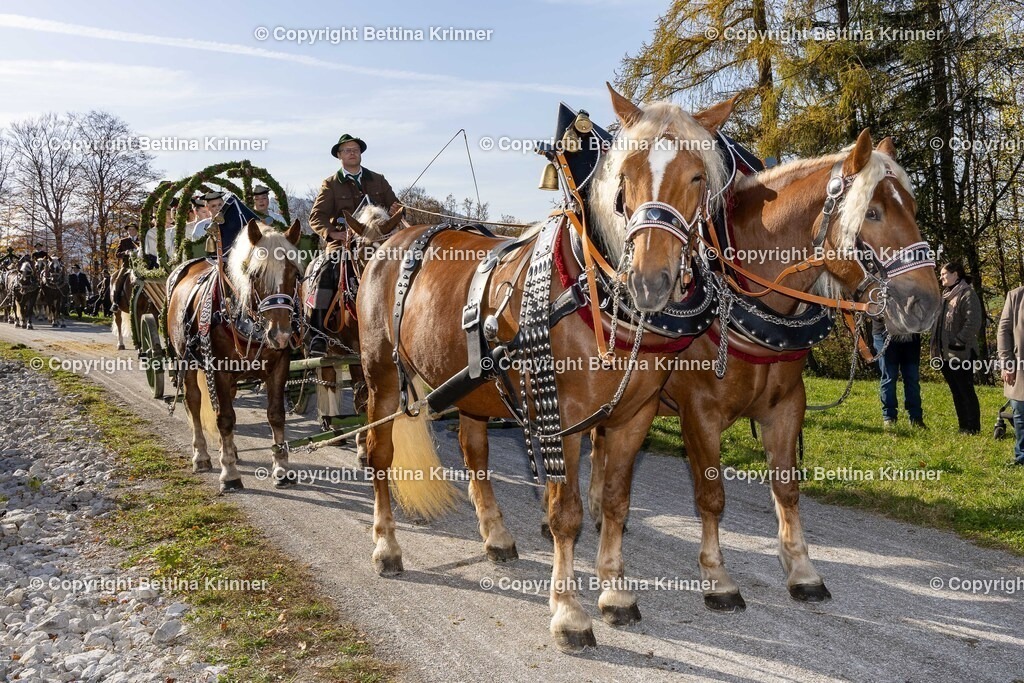 LBT24-1466 | foto-bettina-krinner - Realisiert mit Pictrs.com