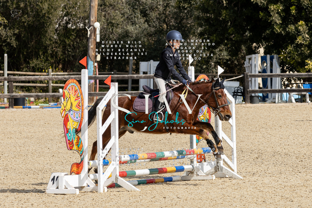 IMG_3090 | s-jay-photography - Realisiert mit Pictrs.com