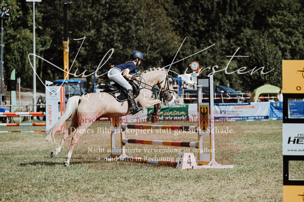 DSC_9338 | Pferde- und Turnierfotografie in Westsachsen. Pferdeportraits, Auftragszeichnungen und intuitive Kunst.