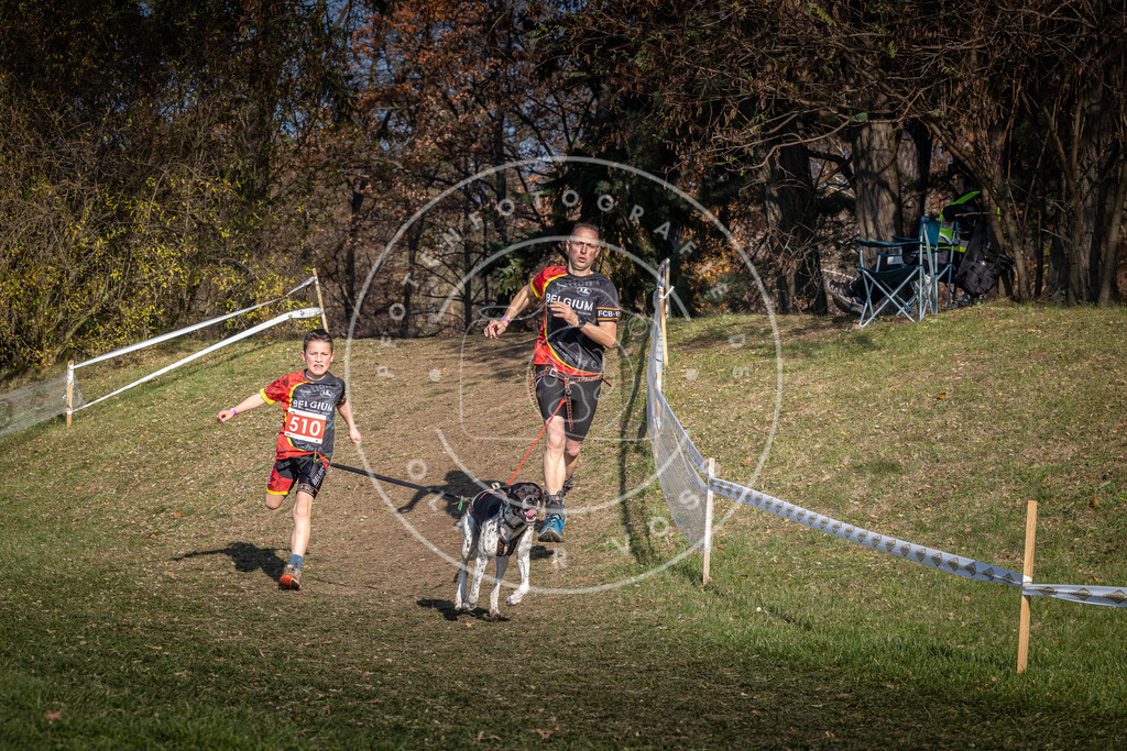 CaniXpix_0L8A8338 | Hundefotografie, Tierfotograf, Pfotenfotografie, Fotoshooting Hund, Hunde Portrait, Hundesport, Hundeportraits, Heideshooting, Hunde, Sportfotograf, Hundefotograf, Turnierhundsport, THS,  - Realisiert mit Pictrs.com