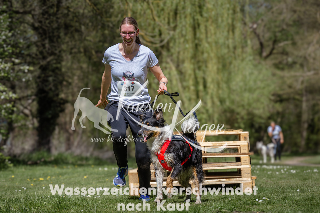 1242_ZZ93708 | kk-dogfotos