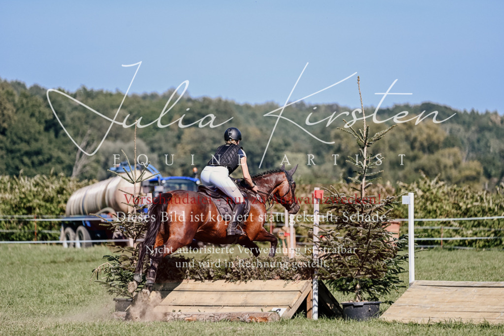 DSC_3287 | Pferde- und Turnierfotografie in Westsachsen. Pferdeportraits, Auftragszeichnungen und intuitive Kunst.
