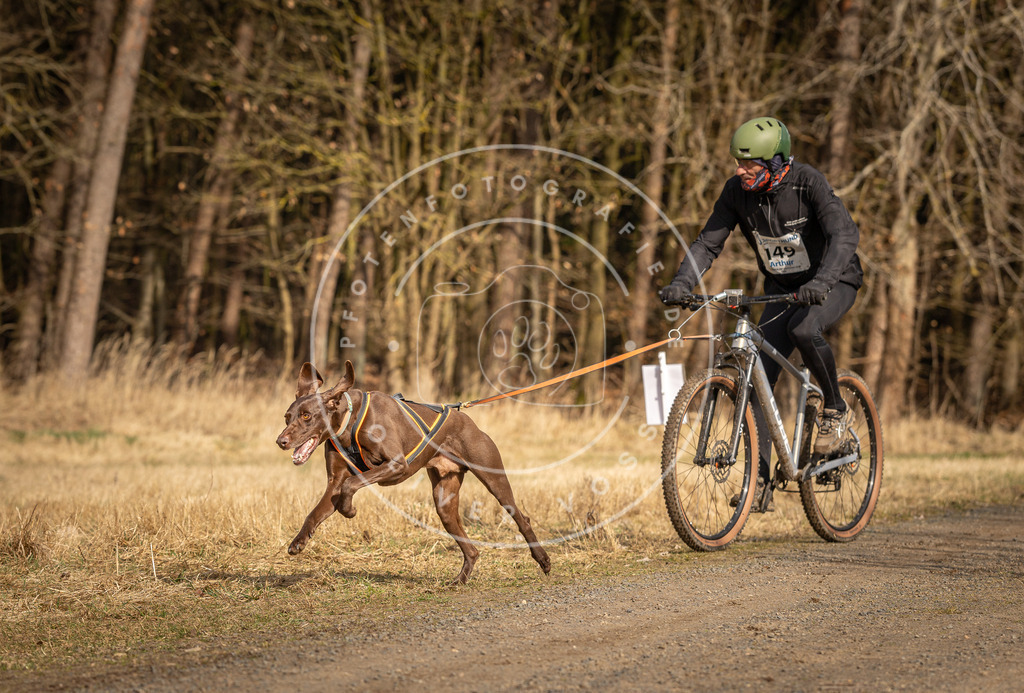 DV3A4354 | Hundefotografie, Tierfotograf, Pfotenfotografie, Fotoshooting Hund, Hunde Portrait, Hundesport, Hundeportraits, Heideshooting, Hunde, Sportfotograf, Hundefotograf, Turnierhundsport, THS,  - Realisiert mit Pictrs.com