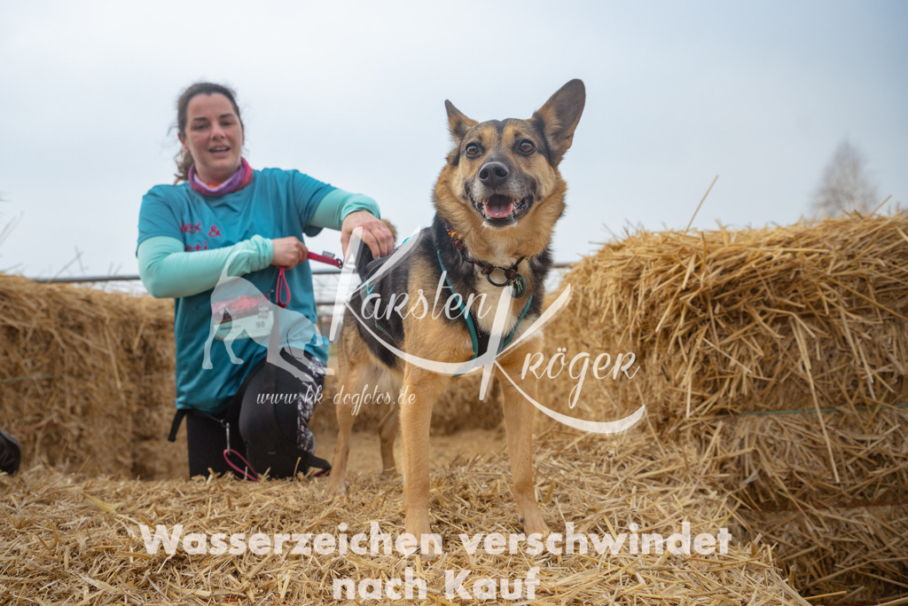 0959_ZZ91378 | kk-dogfotos