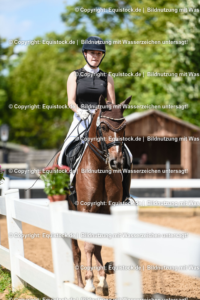 20230716_01_Dressurprüfung Kl.M_0331 | equistock