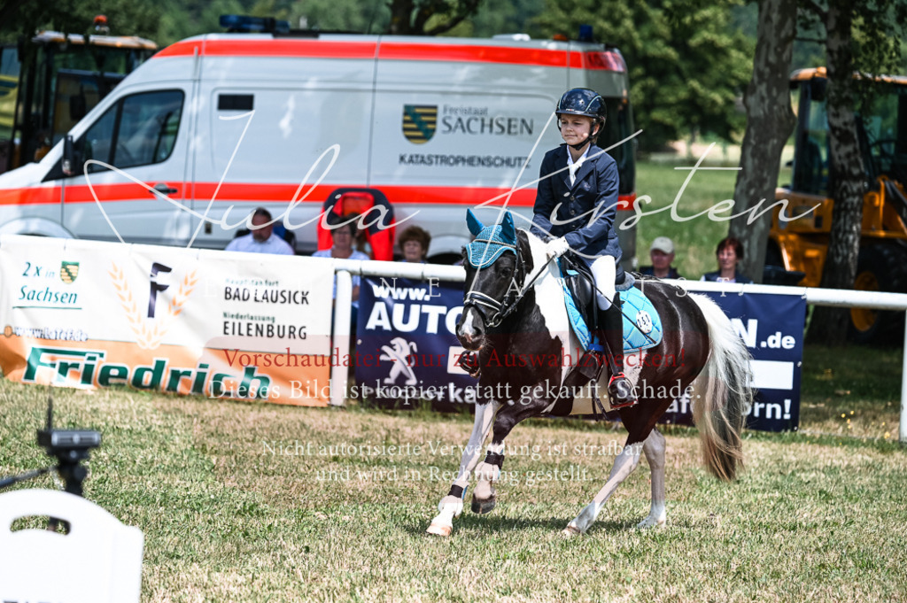 DSC_9739 | Pferde- und Turnierfotografie in Westsachsen. Pferdeportraits, Auftragszeichnungen und intuitive Kunst.