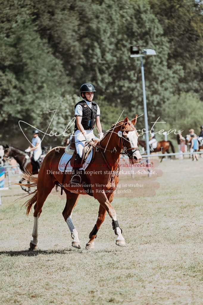 DSC_9533 | Pferde- und Turnierfotografie in Westsachsen. Pferdeportraits, Auftragszeichnungen und intuitive Kunst.