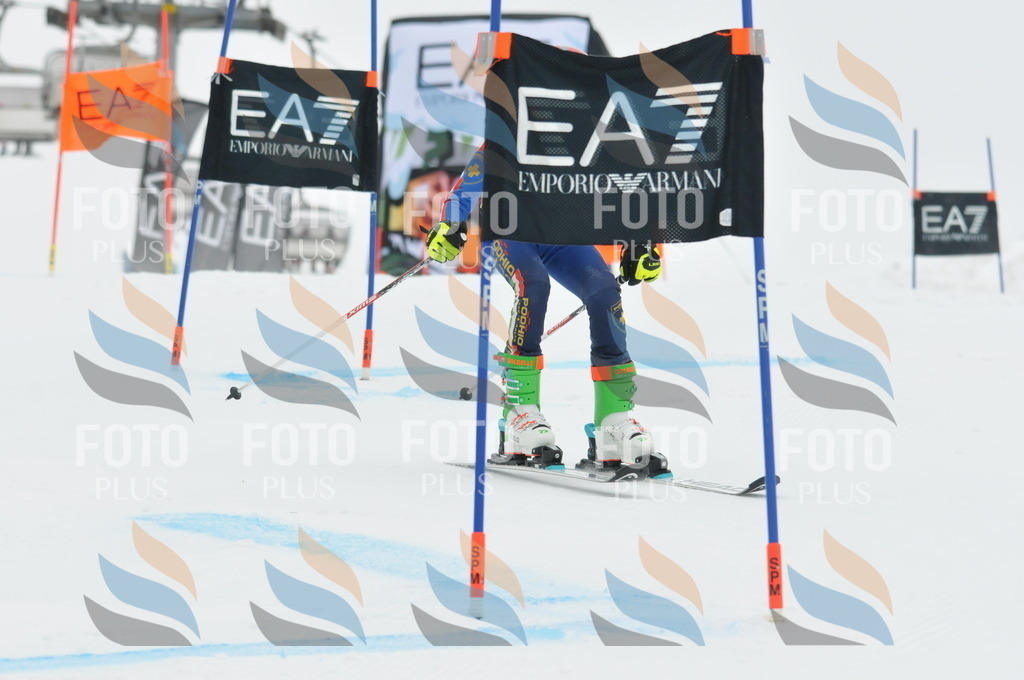 DSC_8679 | holidayphoto