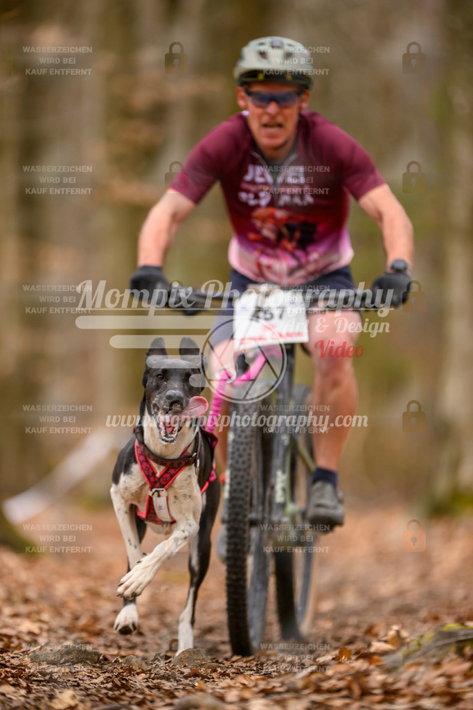 MompixPhotography_Habay2025_SA_Bike-21 | mompixphotography