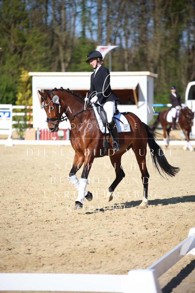 IMGT9164 | pl-fotografie