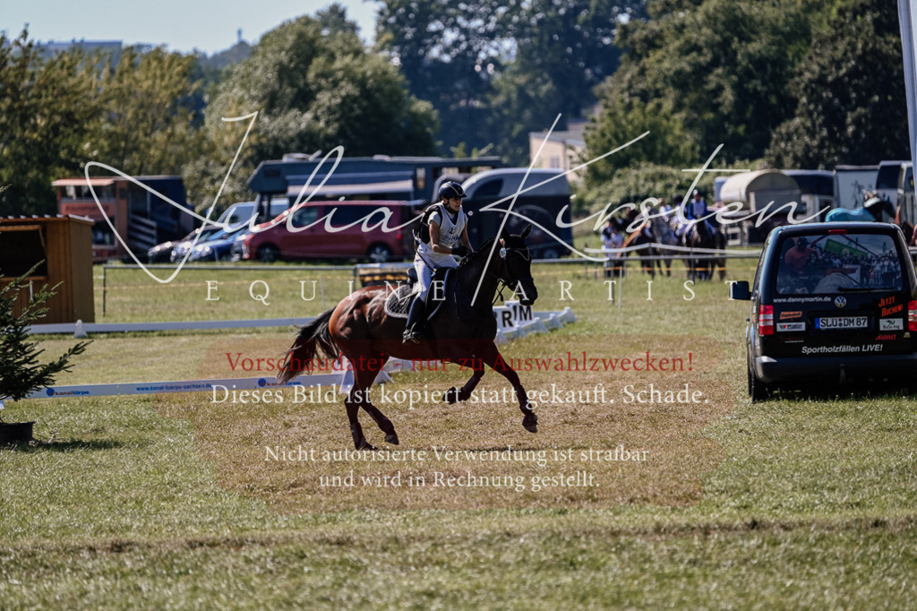 DSC_1742 | Pferde- und Turnierfotografie in Westsachsen. Pferdeportraits, Auftragszeichnungen und intuitive Kunst.