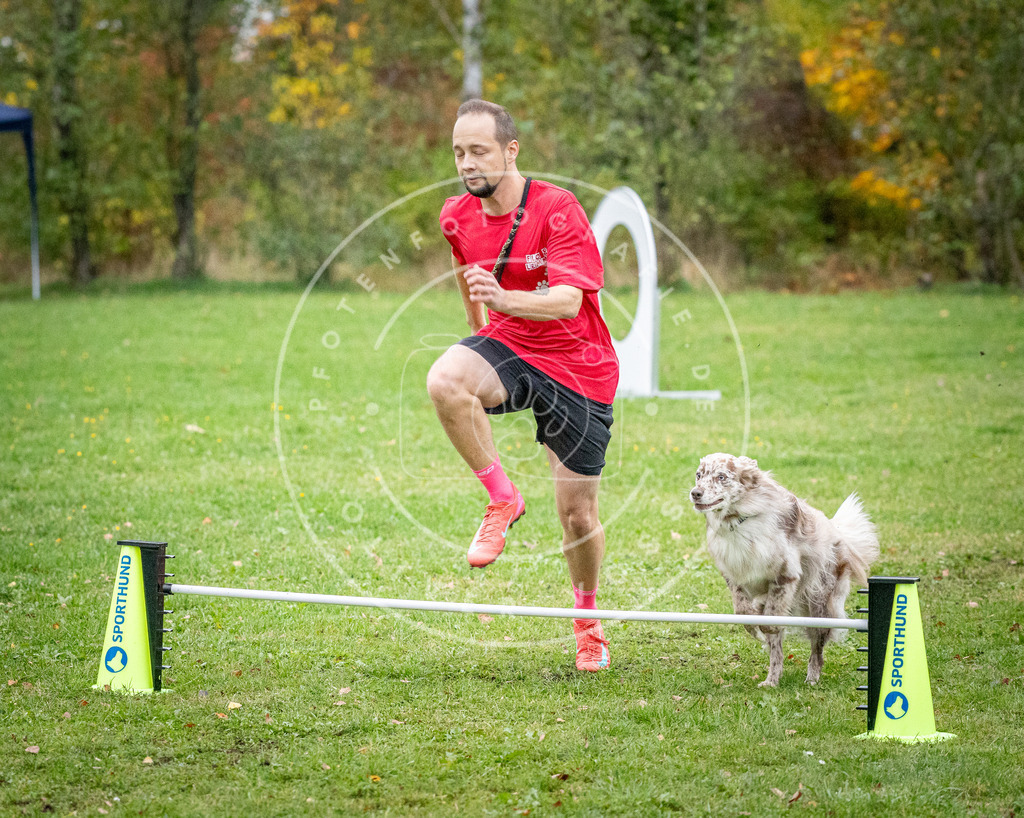Pfotenfotografie_DV3A1357 | Hundefotografie, Tierfotograf, Pfotenfotografie, Fotoshooting Hund, Hunde Portrait, Hundesport, Hundeportraits, Heideshooting, Hunde, Sportfotograf, Hundefotograf, Turnierhundsport, THS,  - Realisiert mit Pictrs.com