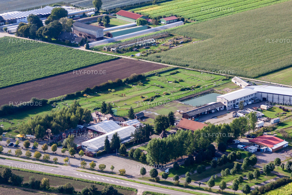 Adamshof Fußgolfanlage | Luftbild: Adamshof Fußgolfanlage in Kandel im Bundesland Rheinland-Pfalz in Deutschland. Foto: IMG_71023.jpg vom 27.08.2014 durch Werner Riehm/FLY-FOTO.de - Realisiert mit Pictrs.com