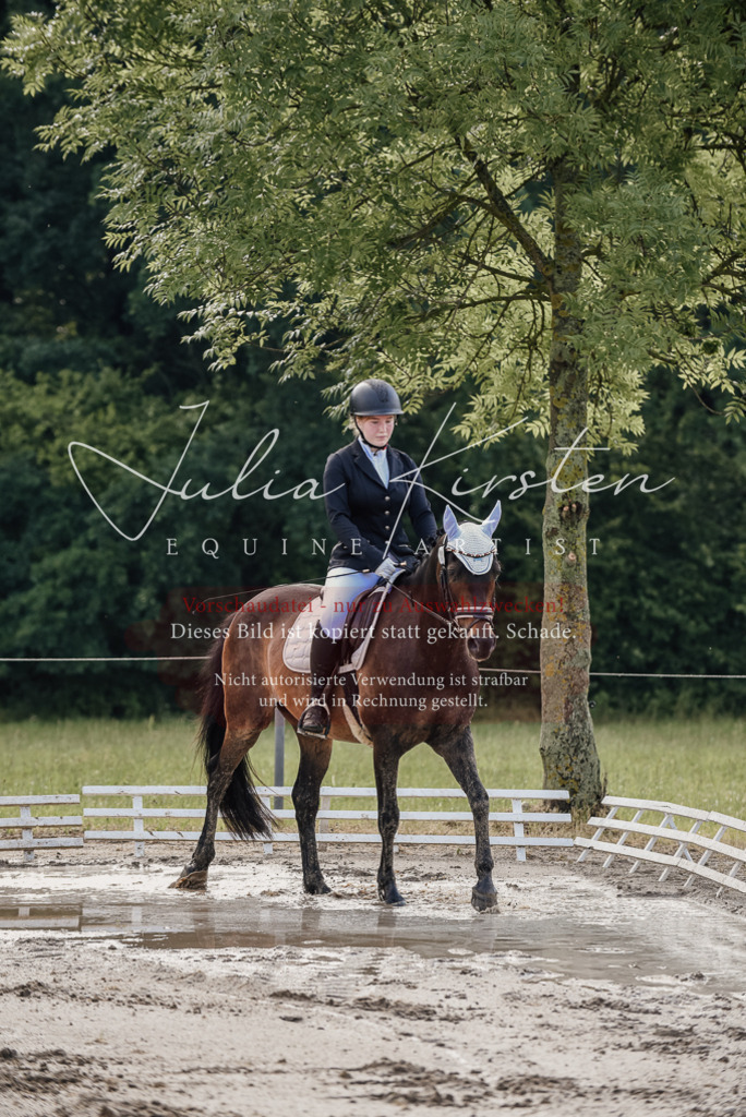DSC_8116 | Pferde- und Turnierfotografie in Westsachsen. Pferdeportraits, Auftragszeichnungen und intuitive Kunst.