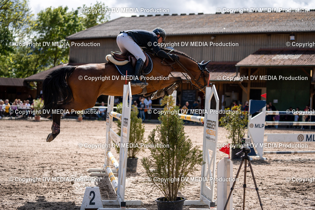 Eppelheim Tag 3-319 | dv-media-shop - Realisiert mit Pictrs.com