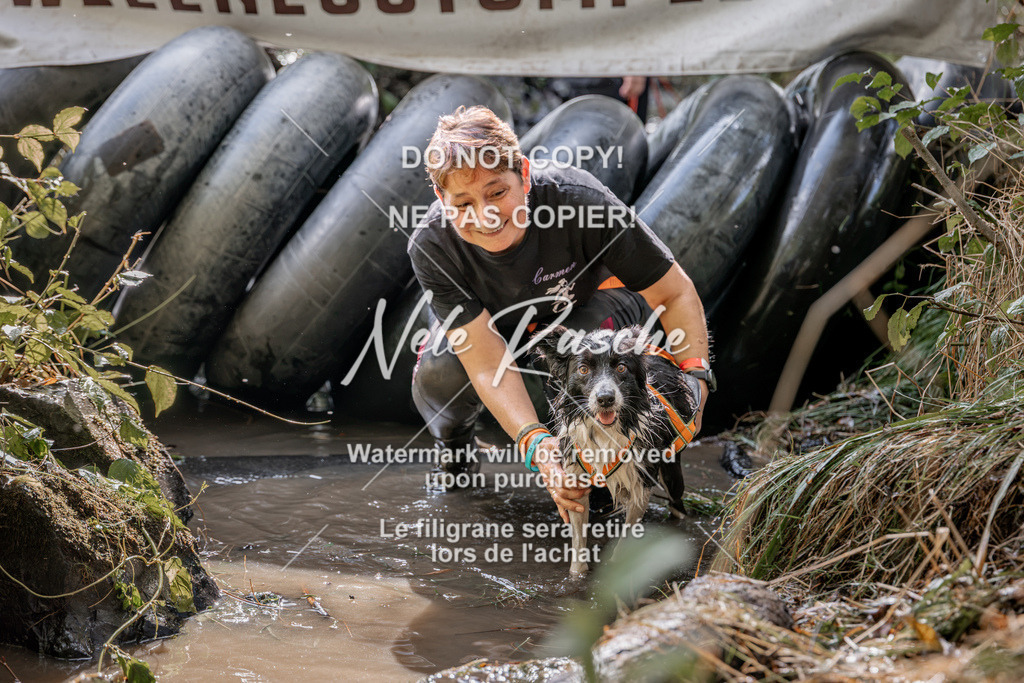 nelerasche_Hunsrück2026_Sa1400-1500_406 | nelerasche