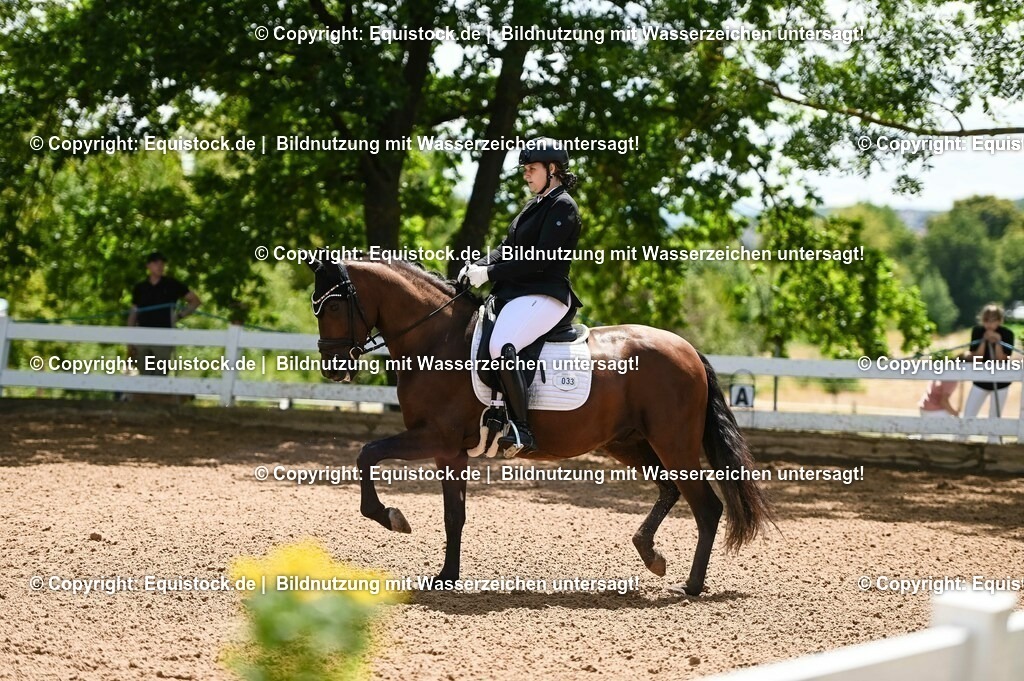 20230716_03_Dressurprfg. Kl.L - Tr._0113 | equistock