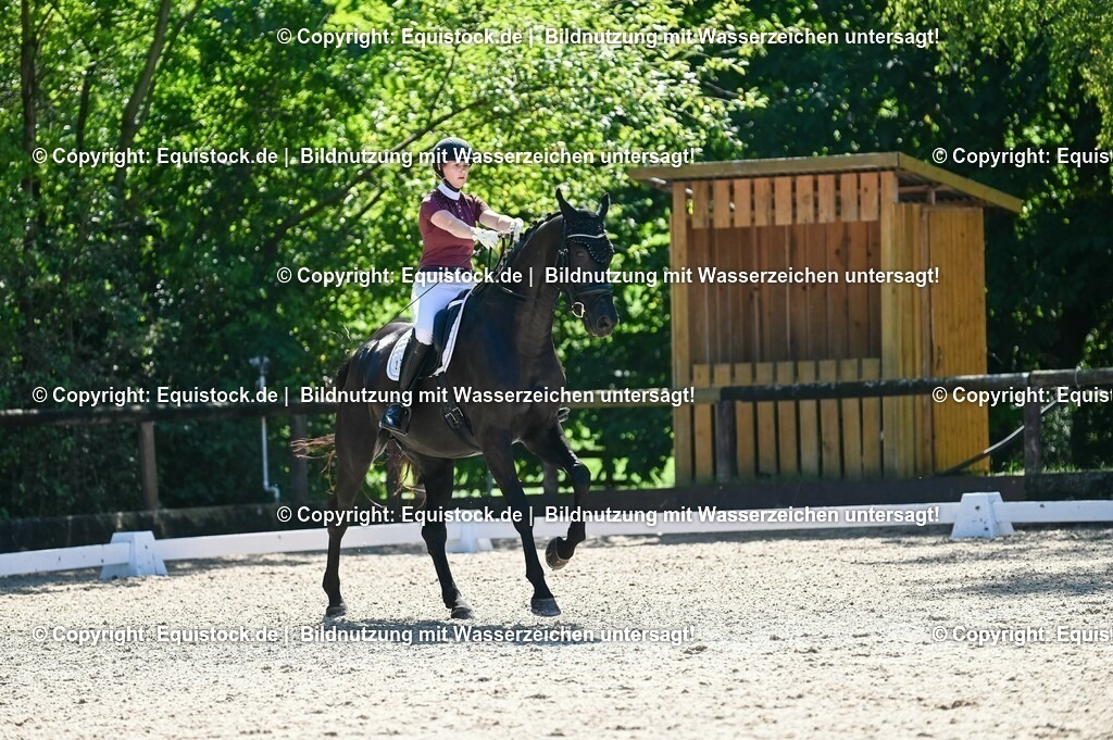 20230908_06_Dressur-L-Trense_0756 | equistock